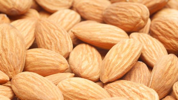 almond nuts wholesale kernel