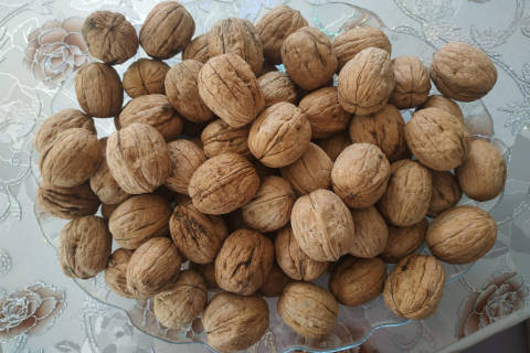 wholesale walnut with shell unshelled